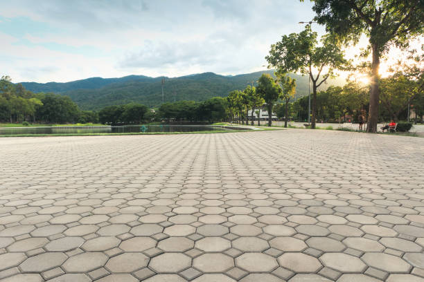 Best Concrete Paver Driveway  in Mariposa, CA